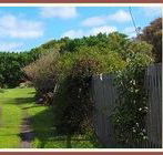 Orchard Cottage - South Australia Travel