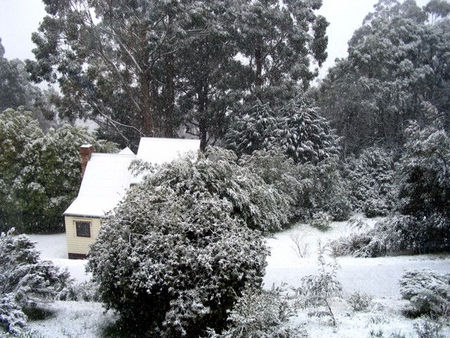 Tranquillity Cottage - South Australia Travel 0