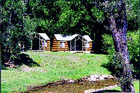 Bright Caravan Park - South Australia Travel 1