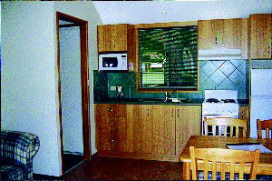 Bright Caravan Park - South Australia Travel 3