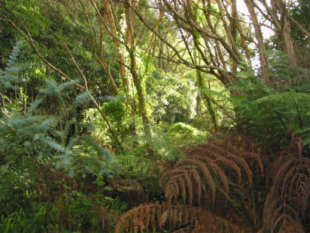 Deja Vu Lakes Entrance B And B - South Australia Travel 2