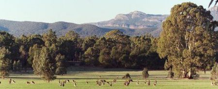 Wartook Gardens - South Australia Travel 1