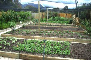 Wartook Gardens - South Australia Travel 3