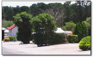 Wantirna Park - South Australia Travel 5