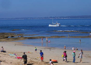 QueenscliffeTourist Park - South Australia Travel 0