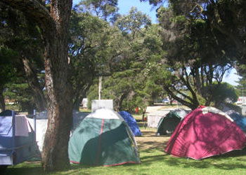 QueenscliffeTourist Park - South Australia Travel 2