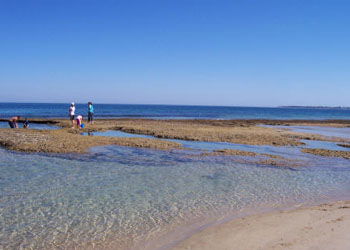QueenscliffeTourist Park - South Australia Travel 3