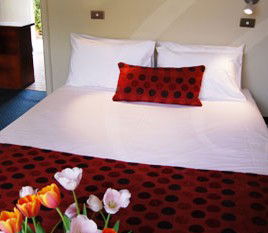 Parade Inn - South Australia Travel 2