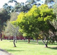 Otways Tourist Park - South Australia Travel