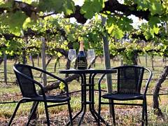 De Vine Escape - South Australia Travel 2