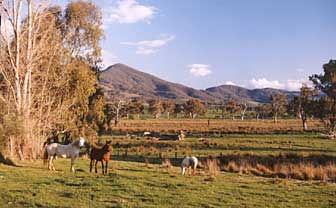 Baranduda Homestead - South Australia Travel 5