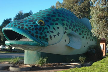 Swan Hill Holiday Park - South Australia Travel 4