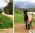 Emerald Park Holiday Farm - South Australia Travel