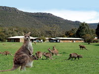 Halls Gap Log Cabins - South Australia Travel 2