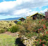 Black Cockatoo Cottages - South Australia Travel