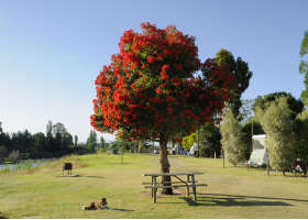 Stratford On The River Tourist Park - South Australia Travel 2