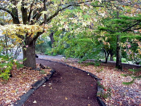 Brigadoon Cottages - South Australia Travel 3