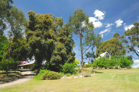 Brigadoon Cottages - South Australia Travel 5