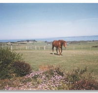 First Class Bed and Breakfast - South Australia Travel