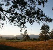 Cann River Rainforest Caravan Park - South Australia Travel