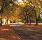 La Trobe at Beechworth - South Australia Travel