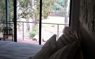 Glengarriff Town Houses - South Australia Travel 0