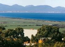 Waratah Bay VIC South Australia Travel