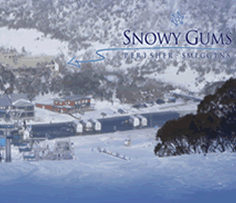 Snowy Gums Chalet - South Australia Travel