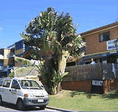 Melaluka And Costa Bella Luxury Apartments - South Australia Travel