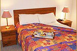 Homestead Motor Inn And Apartments - South Australia Travel 0