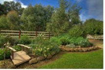 Peppermint Springs Retreat & Day Spa - South Australia Travel 2