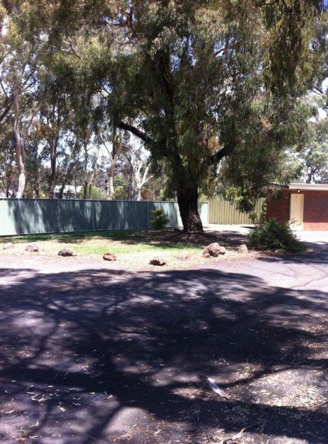 Golden Country Motel And Caravan Park - South Australia Travel 2