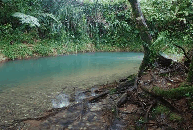 Heritage Lodge And Spa