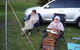 Ballina Beach Village - thumb 3