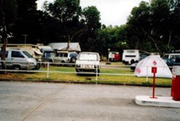 Windsor Gardens Caravan Park - South Australia Travel 0