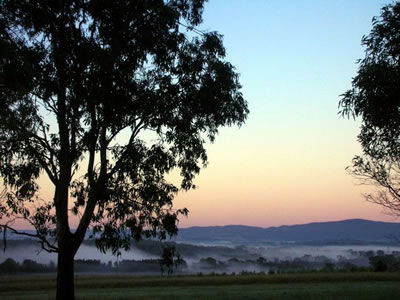 Bluebush Estate - South Australia Travel 0
