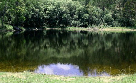 Mystwood Retreats - South Australia Travel 5