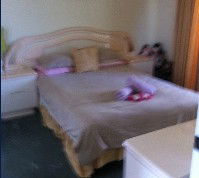 Lake Illawarra Bed & Breakfast - South Australia Travel 2