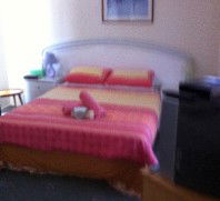 Lake Illawarra Bed & Breakfast - South Australia Travel 4