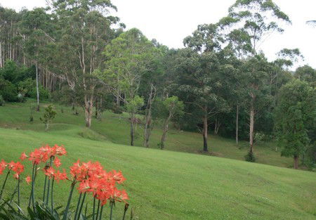 Woodridge Park Country Retreat - South Australia Travel 3