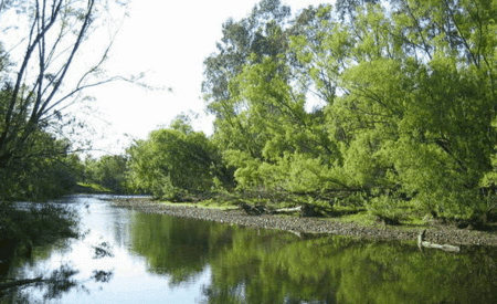 Ribbonwood Cottages - South Australia Travel