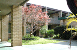 Amg Ryde Sydney - South Australia Travel