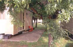Carinya Cabins & Caravan Park - South Australia Travel 0