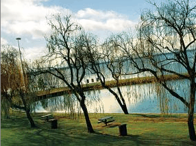 Lake Mulwala Holiday Park - South Australia Travel 2