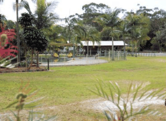 Minnie Water Holiday Park - South Australia Travel 5