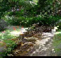 Coco's Country Cottage - South Australia Travel