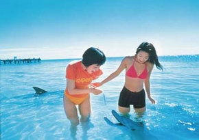 Yangebup WA South Australia Travel