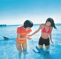 Kookaburra Air - South Australia Travel