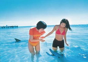 Kookaburra Air - South Australia Travel 0