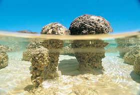 Kookaburra Air - South Australia Travel 2